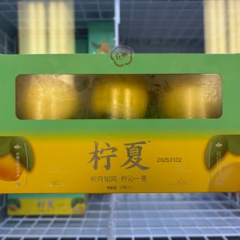 Viral Lemon Shaped Ice Cream